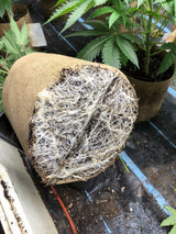 AquaMat Capillary Mat Systems by Sustainable Village - product image 4 for Resin Society