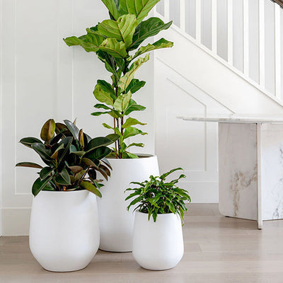 JITT planter with flared base in charcoal color, shown on a patio