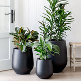 Three matte black JITT planters of varying sizes holding different indoor plants against a white shiplap wall near a white door and wooden stool.