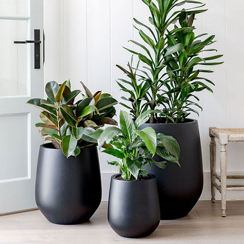 JITT Planter by The Balcony Garden US