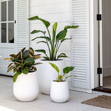 Three white resin planters of varying sizes with green leafy plants placed on a tiled porch near white shutter doors and a beige doormat.