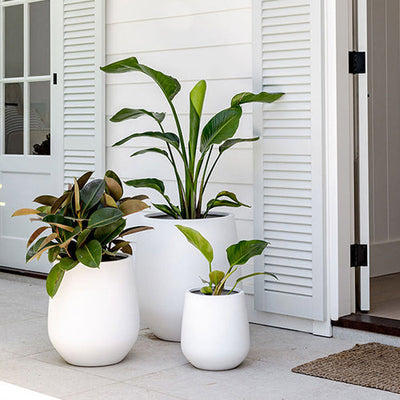 JITT Planter by The Balcony Garden US