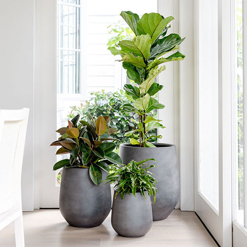 JITT Planter by The Balcony Garden US