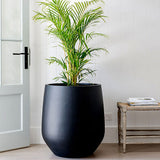 Tall black matte-finish planter holding a green leafy palm, positioned on a light wood floor near a white paneled wall and a rustic wooden side table with magazines.