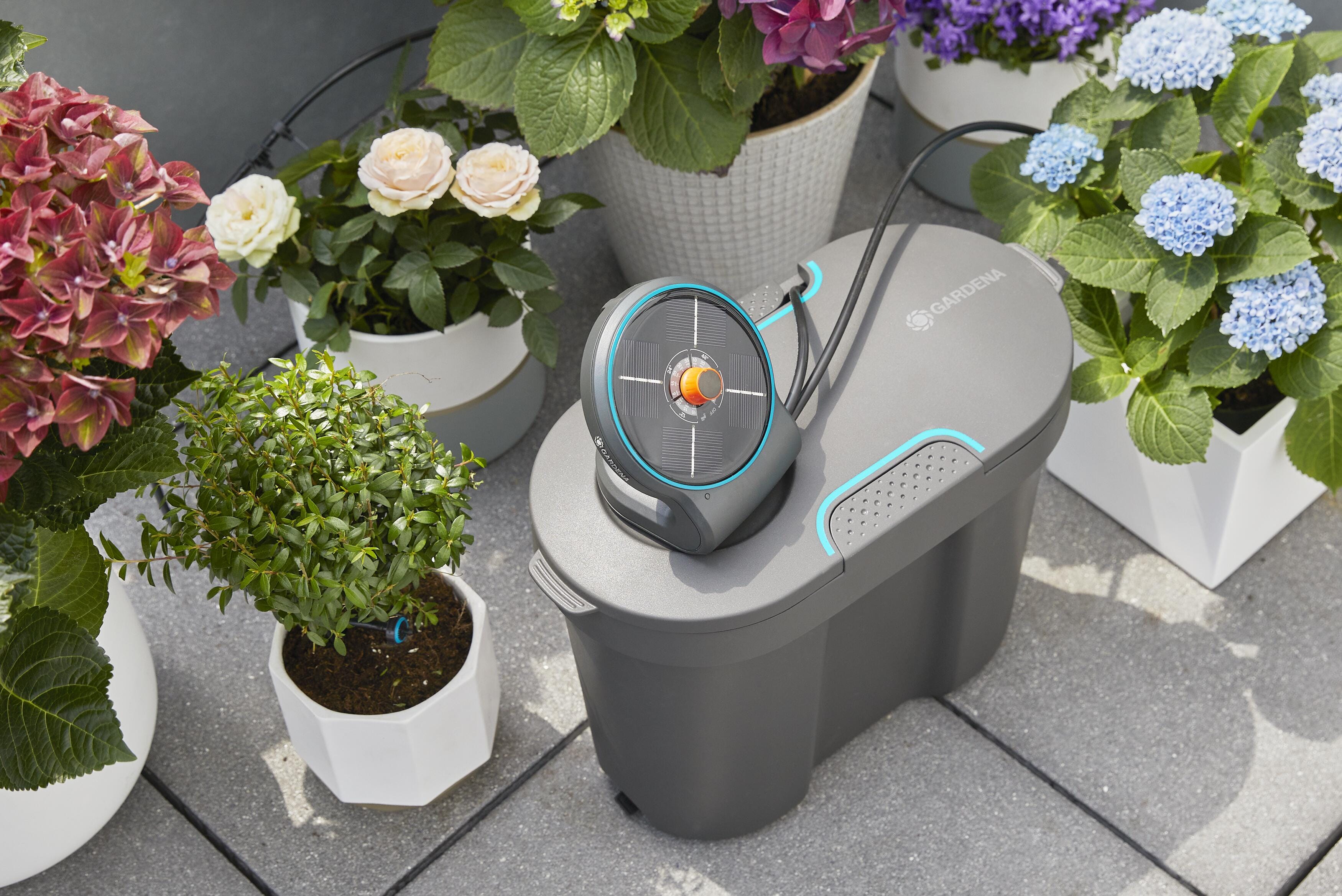 AquaBloom Automatic Plant Watering System detail image - Resin Society