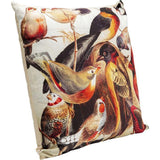 Cushion Birds Life