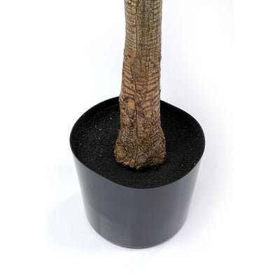 Deco Plant Dracaena Fragrans 180