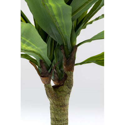 Deco Plant Dracaena Fragrans 180