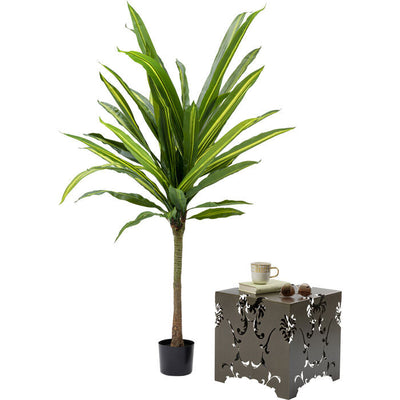 Deco Plant Dracaena Fragrans 180