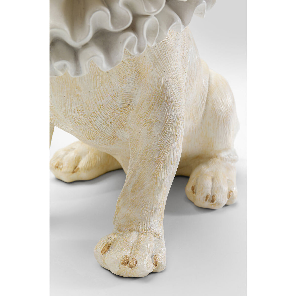 Close-up of a cream-colored dog's front legs and paws with a delicate textured fur pattern and a ruffled white collar around its neck.
