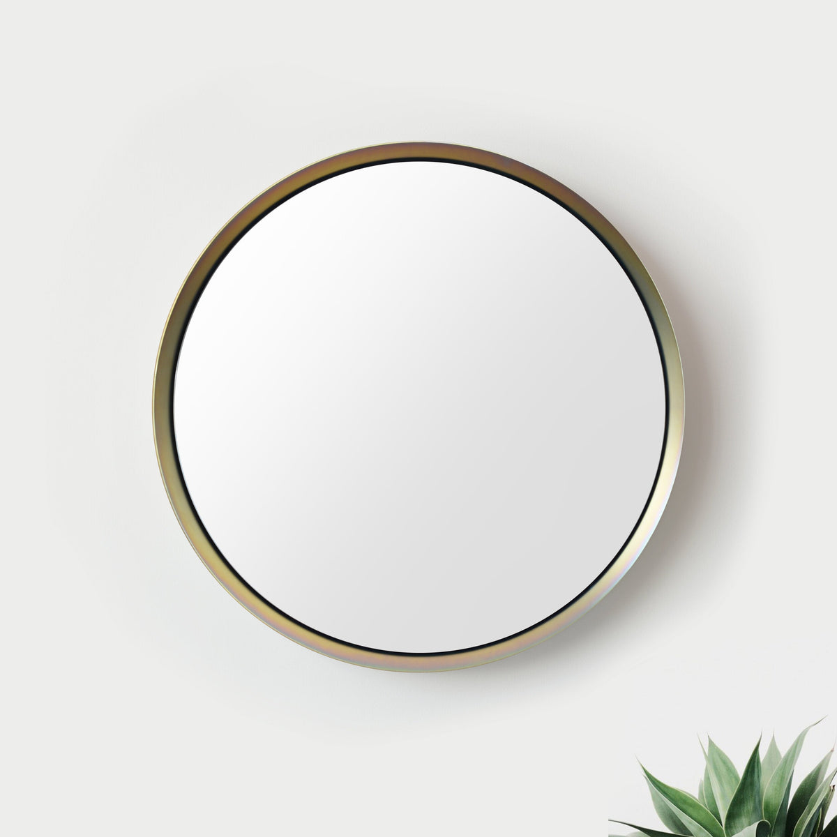 Round wall mirror with a slim, metallic bronze frame hanging against a light gray wall with a green succulent plant partially visible at the bottom right.