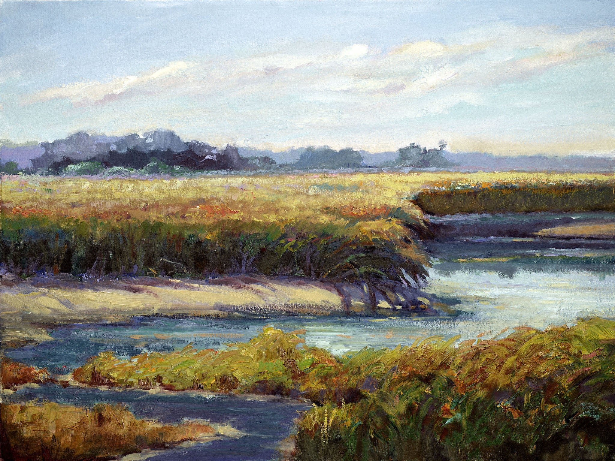 Kiawah Marsh Waterway Artist Enhanced Canvas Print by John Beard Collection - main product image for Resin Society