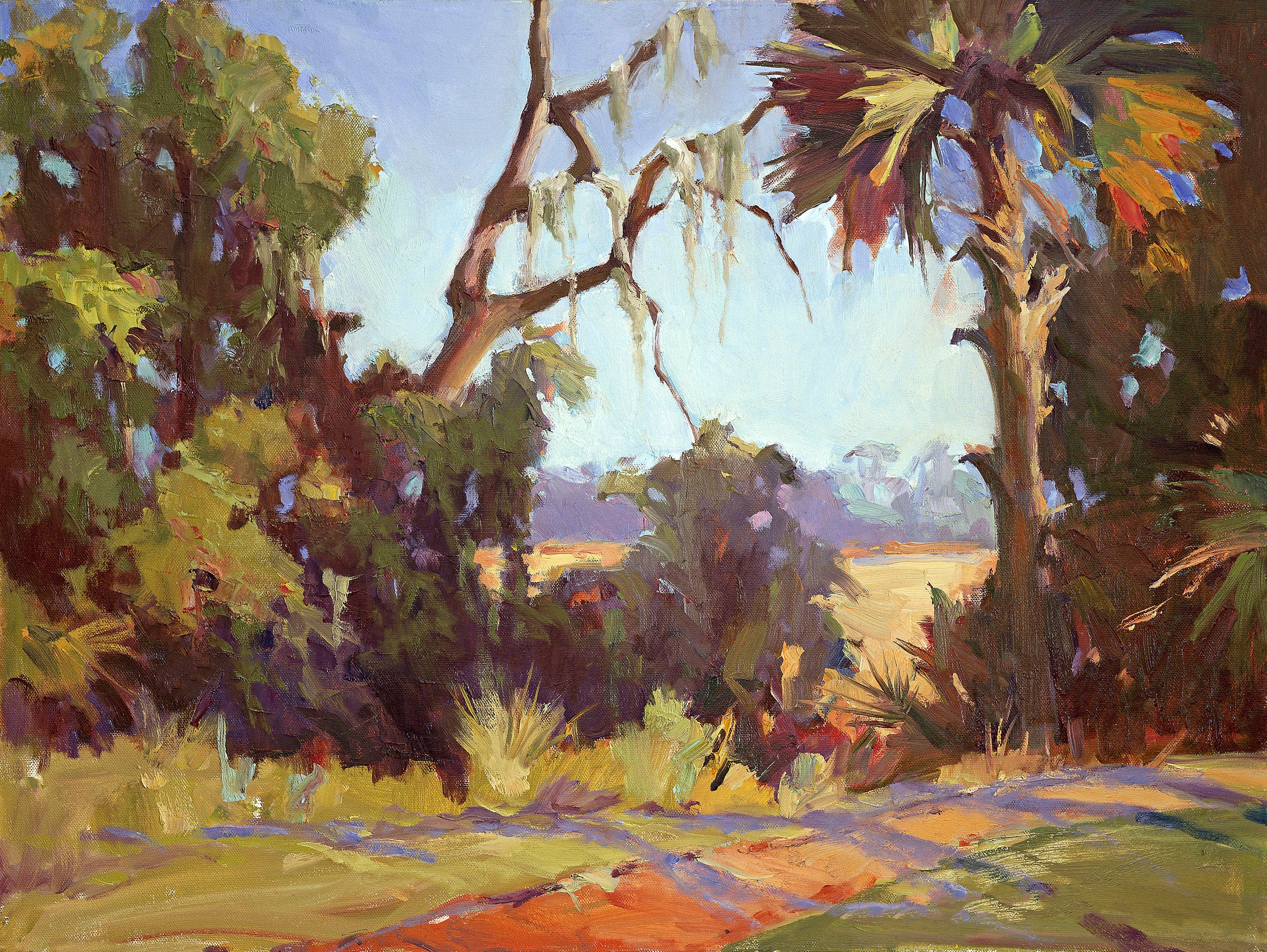 Kiawah Marsh Wetlands Artist Enhanced Canvas Print by John Beard Collection - main product image for Resin Society
