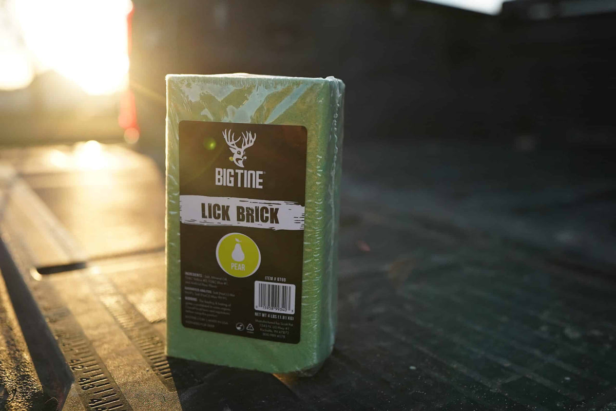 Green rectangular block labeled 'BIGTINE LICK BRICK' standing upright on a dark wooden surface with sunlight shining from the background.