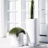 Two white cylindrical planters of different heights with greenery; the taller holds a tall, ribbed cactus, the shorter holds a bushy trailing plant, placed by bright paneled windows.