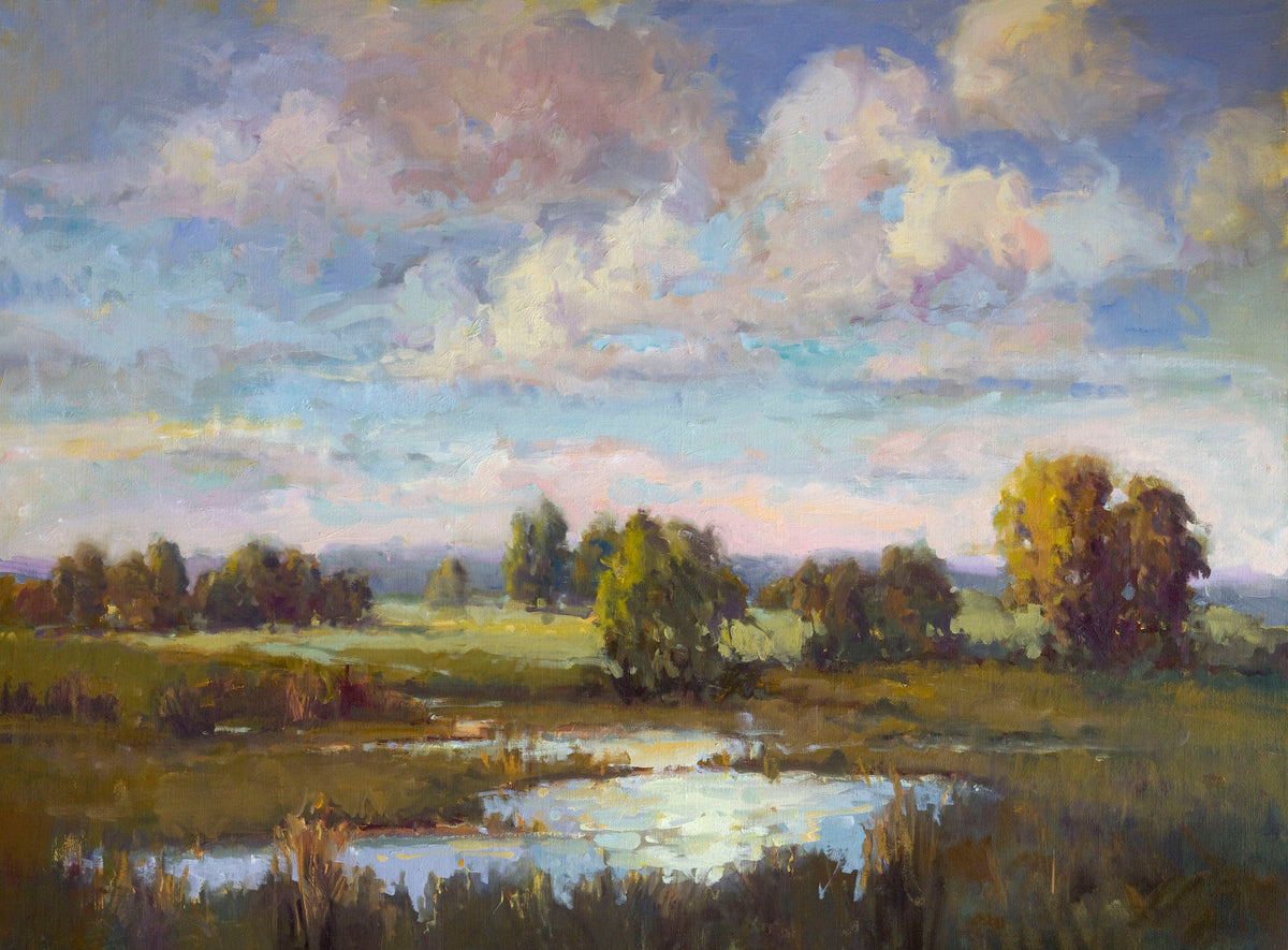 Low Country Daybreak Artist Enhanced Canvas Print by John Beard Collection - main product image for Resin Society