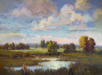 Low Country Daybreak Artist Enhanced Canvas Print by John Beard Collection - main product image for Resin Society