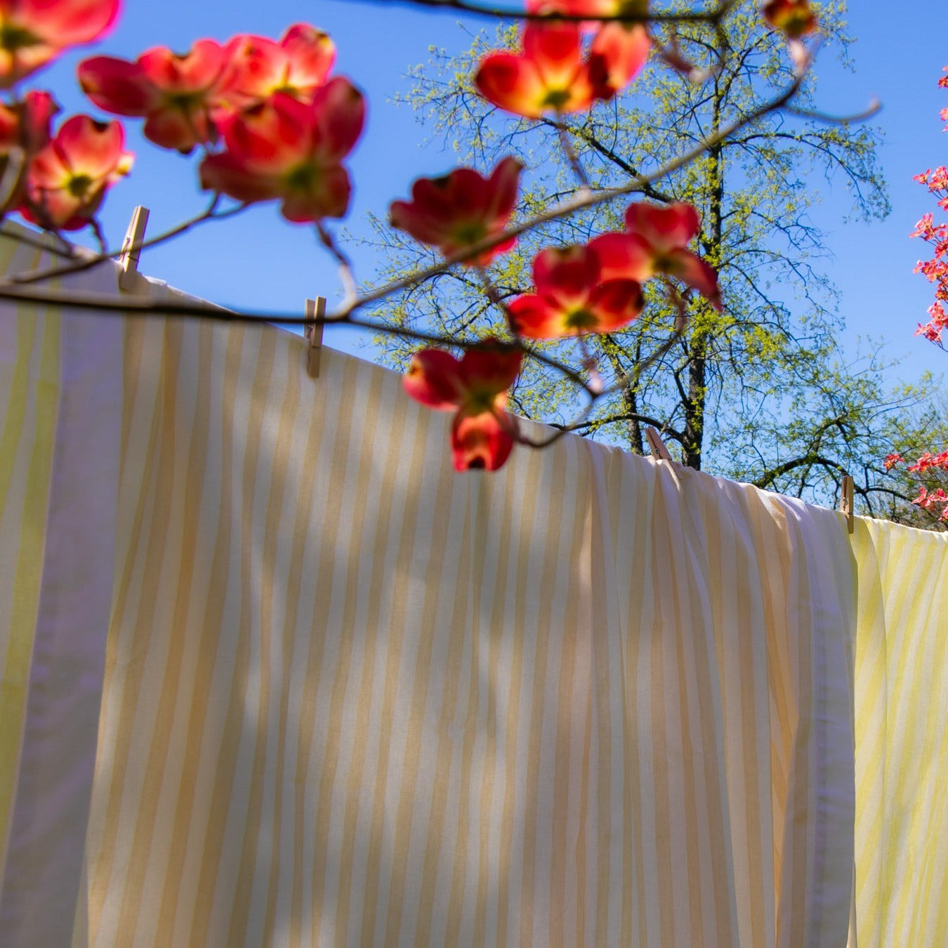 Lychee Sorbet Stripe Tablecloth by Ro'Table - product image 2 for Resin Society