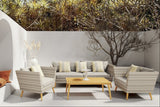 Panther Outdoor Patio Wicker and FSC Wood Seating Set by LifestyleGarden US - main product image for Resin Society