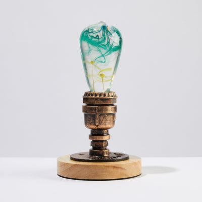 EP Light Mind Decorative Resin LED Bulb with unique resin design and wooden base options