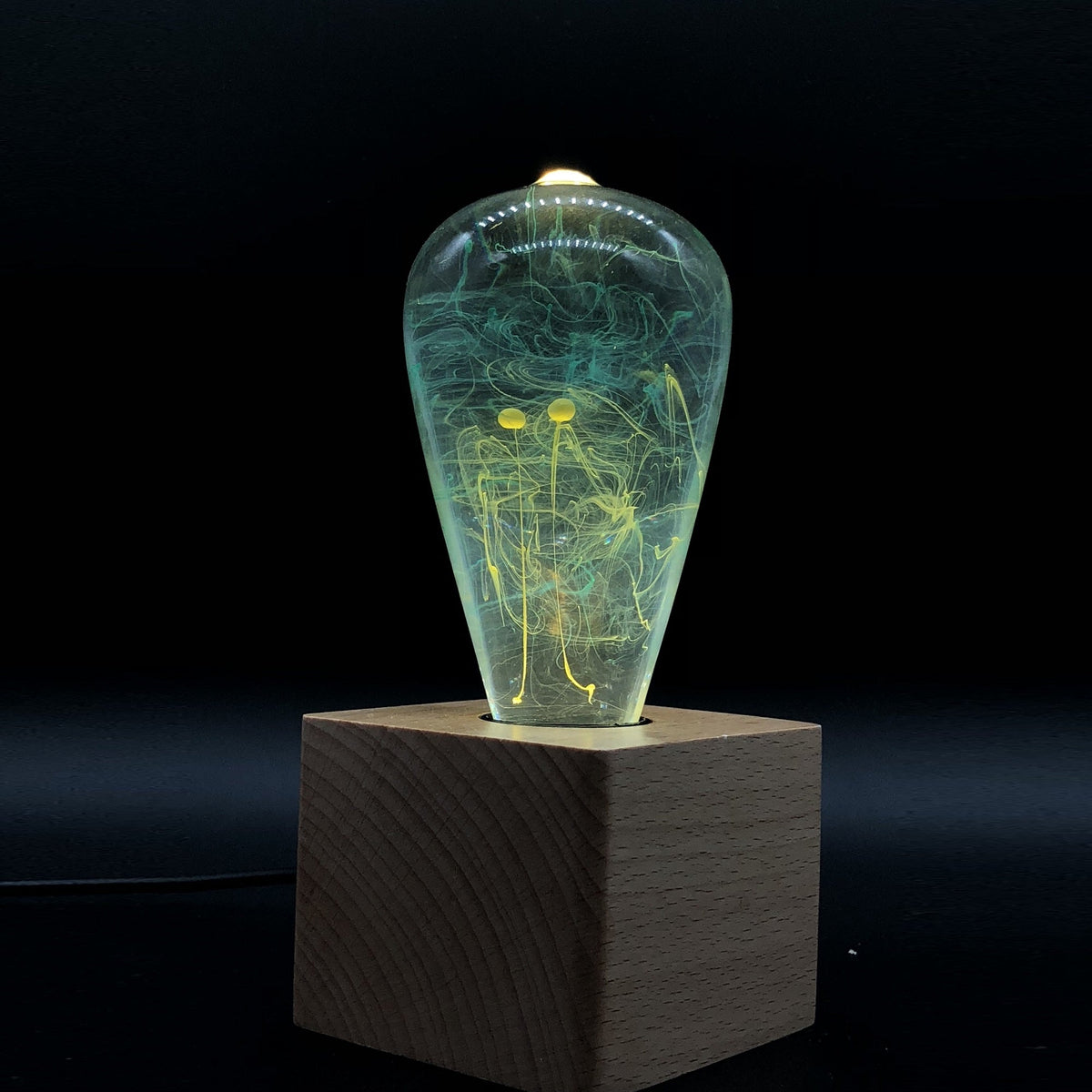 EP Light Mind Decorative Resin LED Bulb with unique resin design and wooden base options