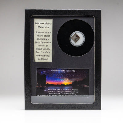 Genuine Muonionalusta Meteorite fragment displayed in a glass box with label and image.