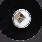 Genuine Muonionalusta Meteorite in Glass Display Box