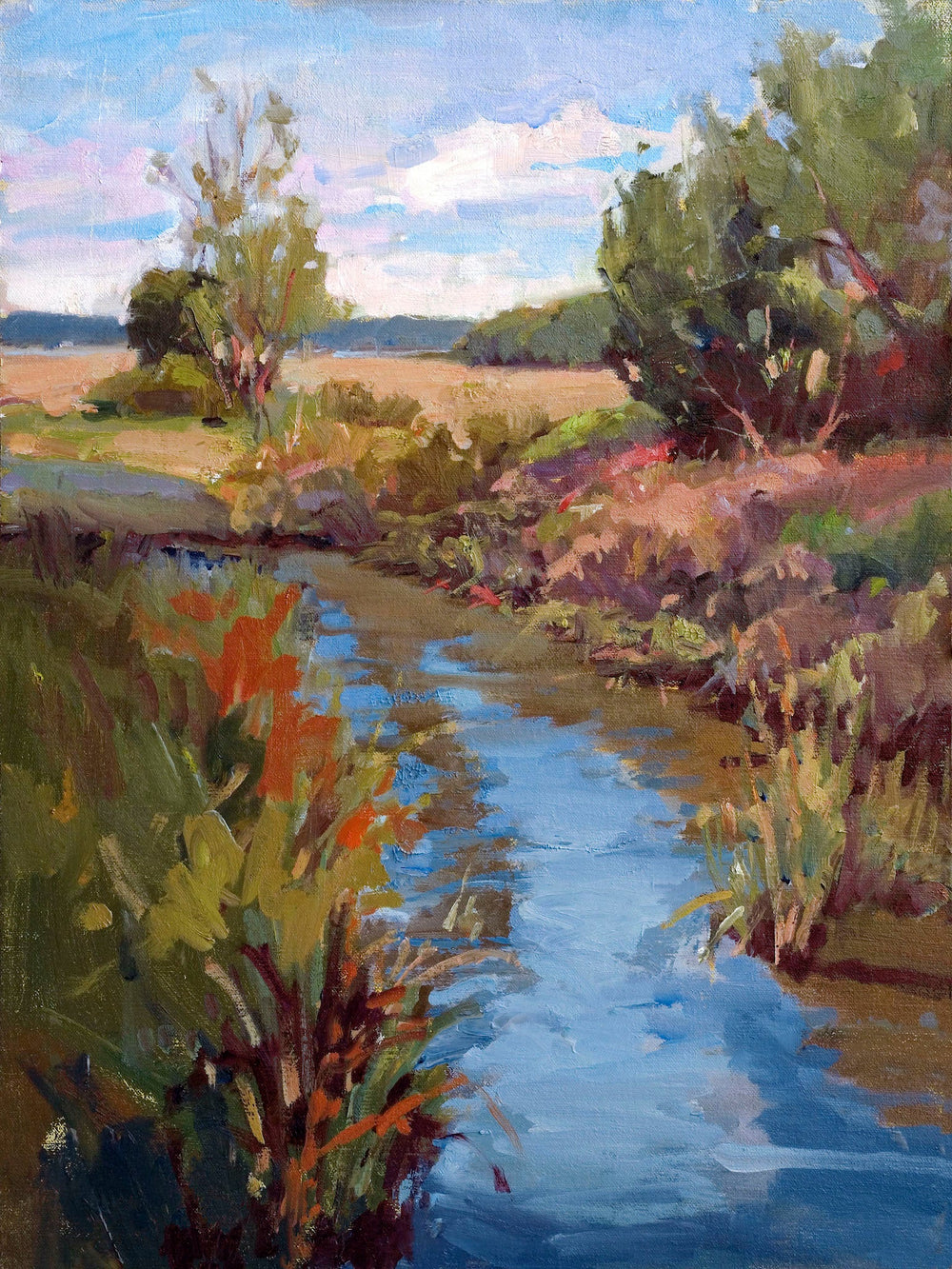 Marsh Colors Artist Enhanced Canvas Print by John Beard Collection - main product image for Resin Society