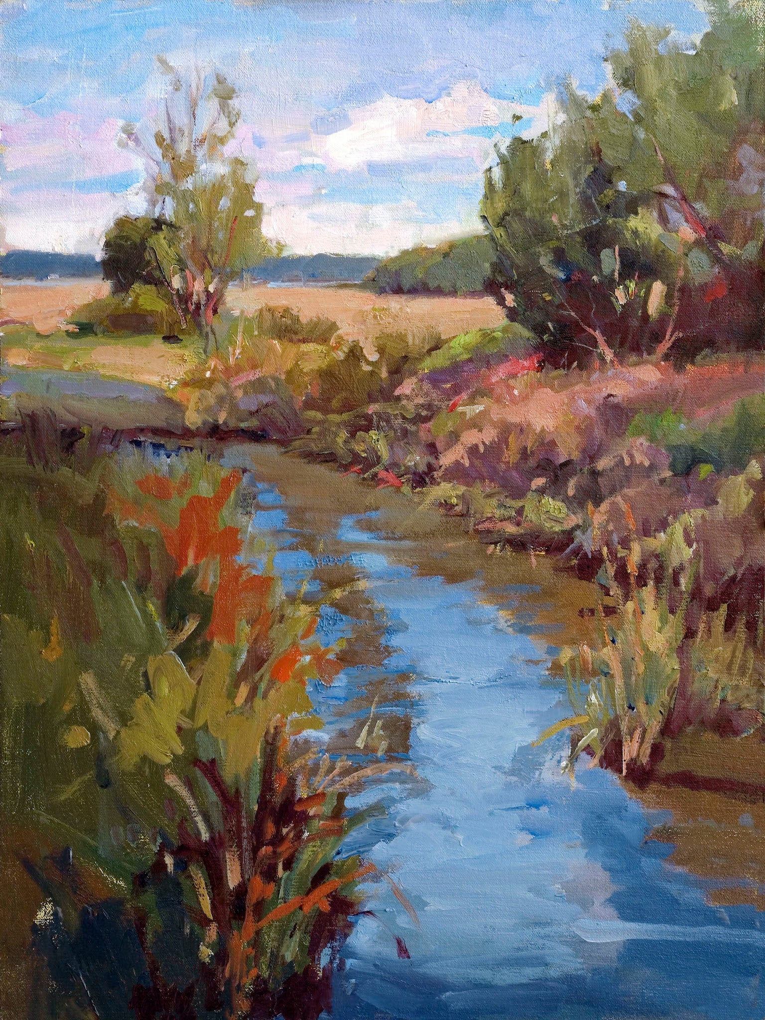 Marsh Colors Artist Enhanced Canvas Print by John Beard Collection - main product image for Resin Society
