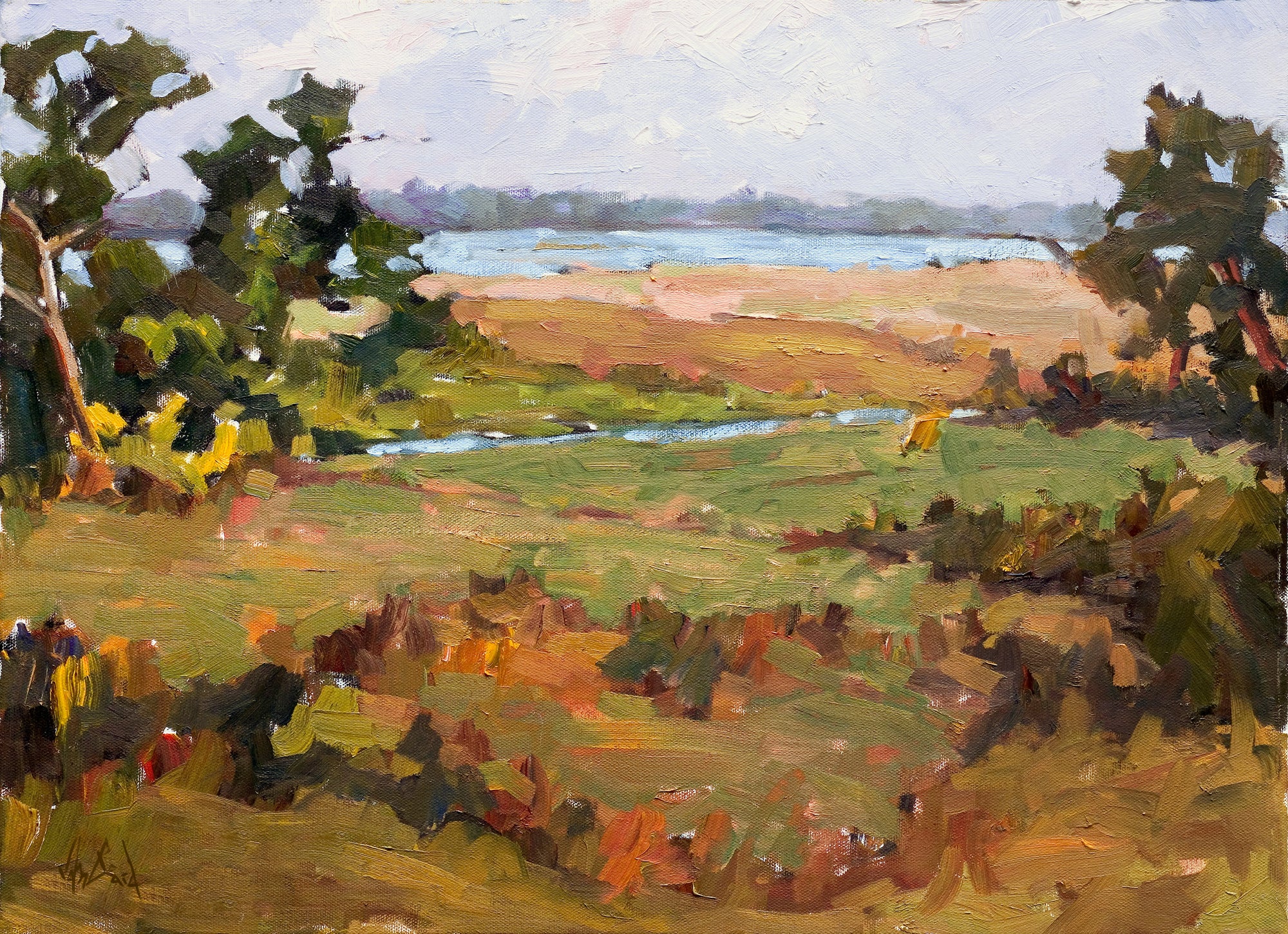 Marsh Light Artist Enhanced Canvas Print by John Beard Collection - main product image for Resin Society