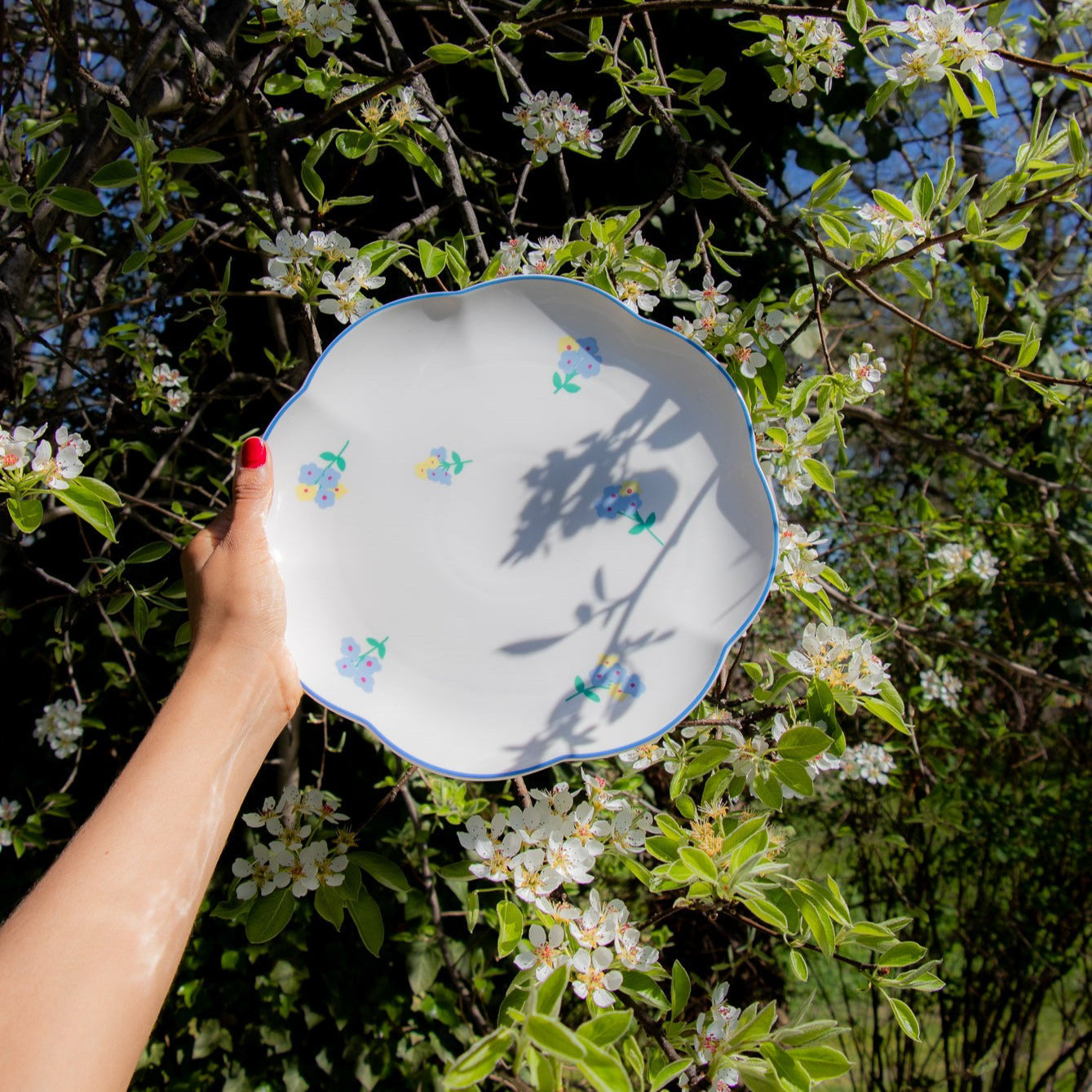 Meadow Flora Dinner Plate - Set of 4 (+1 Bonus Plate) by Ro'Table - product image 6 for Resin Society