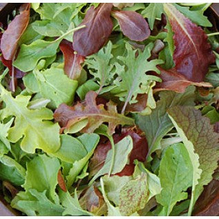 Close-up of mixed lettuce leaves in green and reddish-purple hues, showing varied shapes and textures typical of mesclun salad mixes.