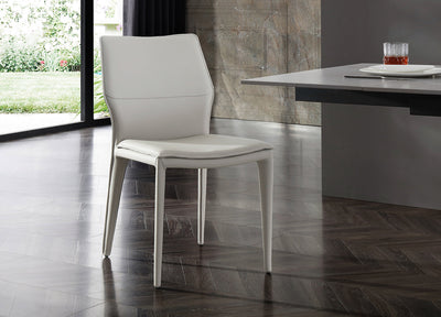 Miranda Dining Chair Sets of 2 detail image - Resin Society