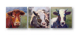 Moo Moo Set by John Beard Collection - main product image for Resin Society