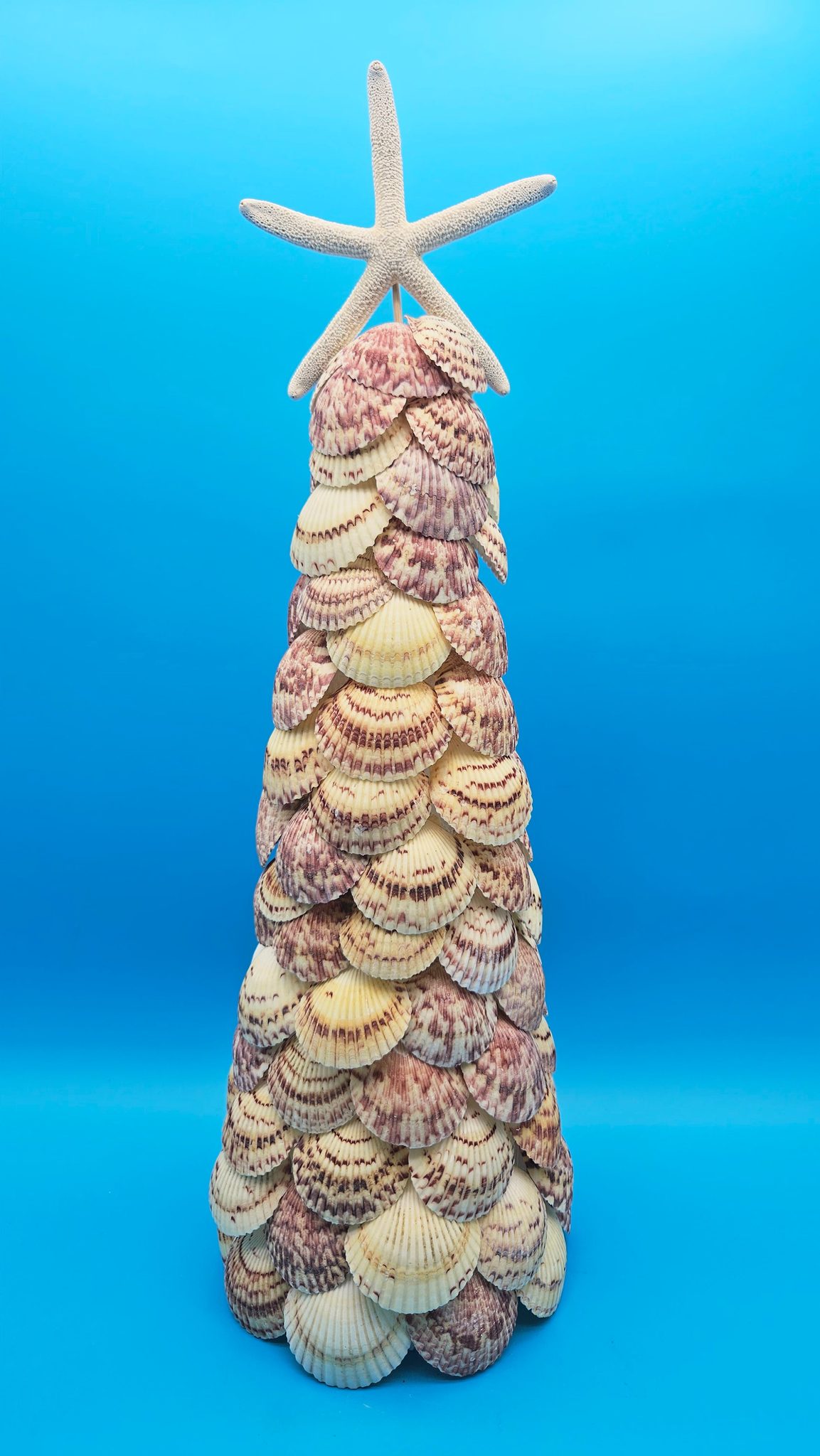 Handmade 18.75 inch scallop shell Christmas tree with natural starfish topper on blue background