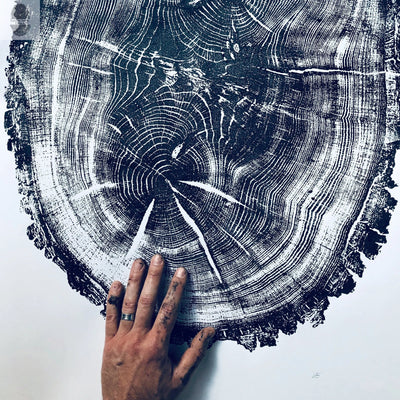Nauvoo Illinois Oak 24x36 woodcut print showing detailed tree rings on textured paper
