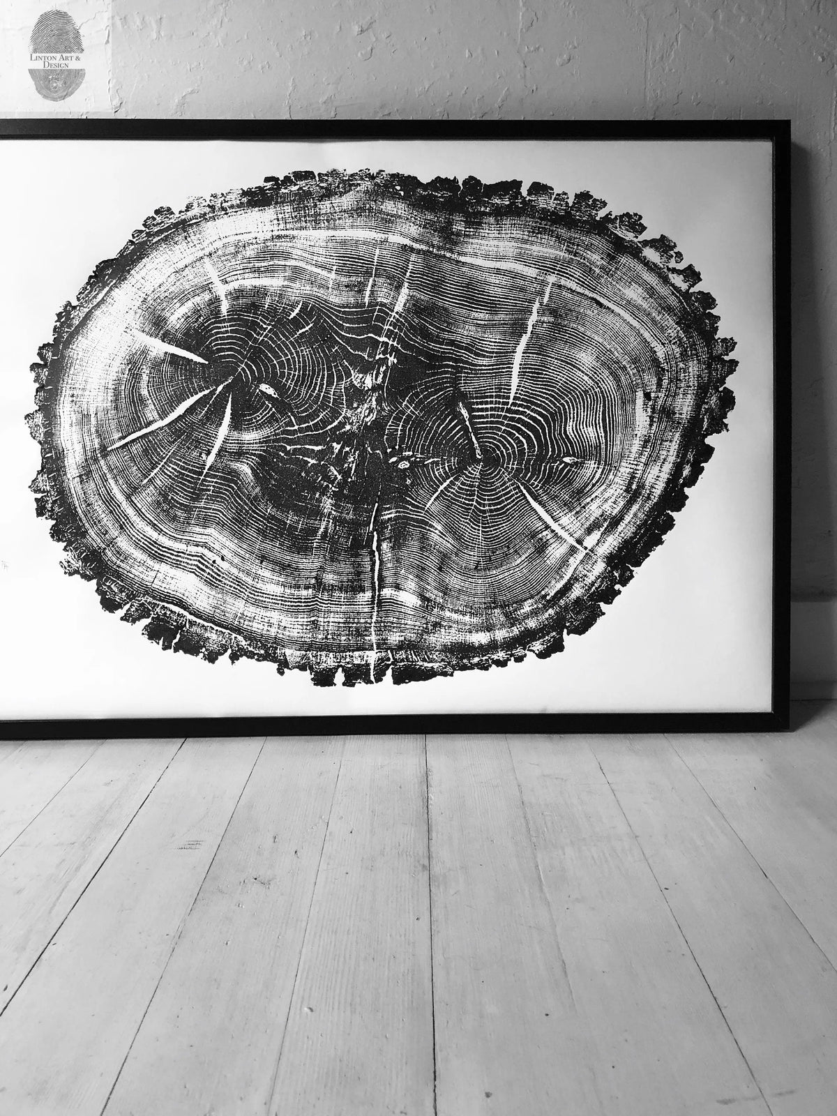 Black and white print of a cross-section of an oak tree trunk showing detailed growth rings and natural cracks, framed and leaning against a textured white wall on wood flooring.