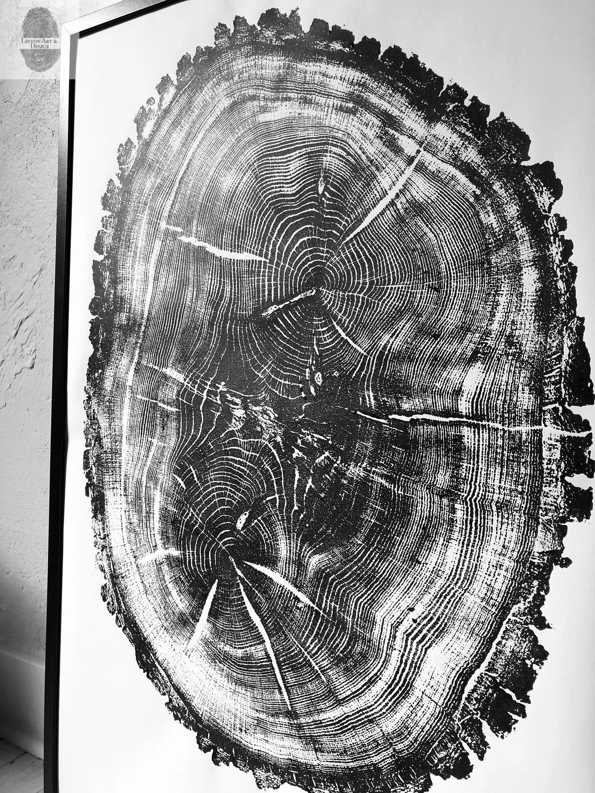 Black and white print of an oak tree cross-section showing detailed growth rings and bark texture within a black frame against a textured wall.