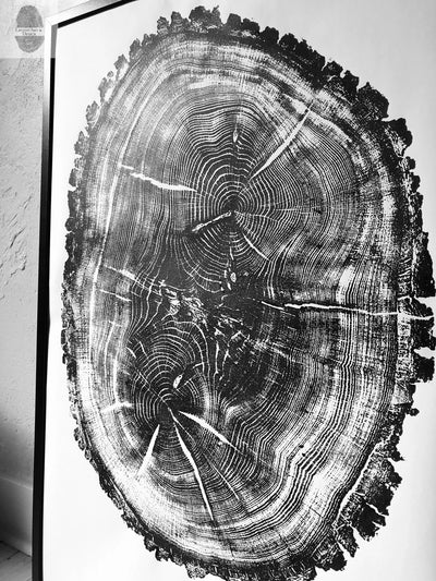 Nauvoo, Illinois Oak - 24x36 Print