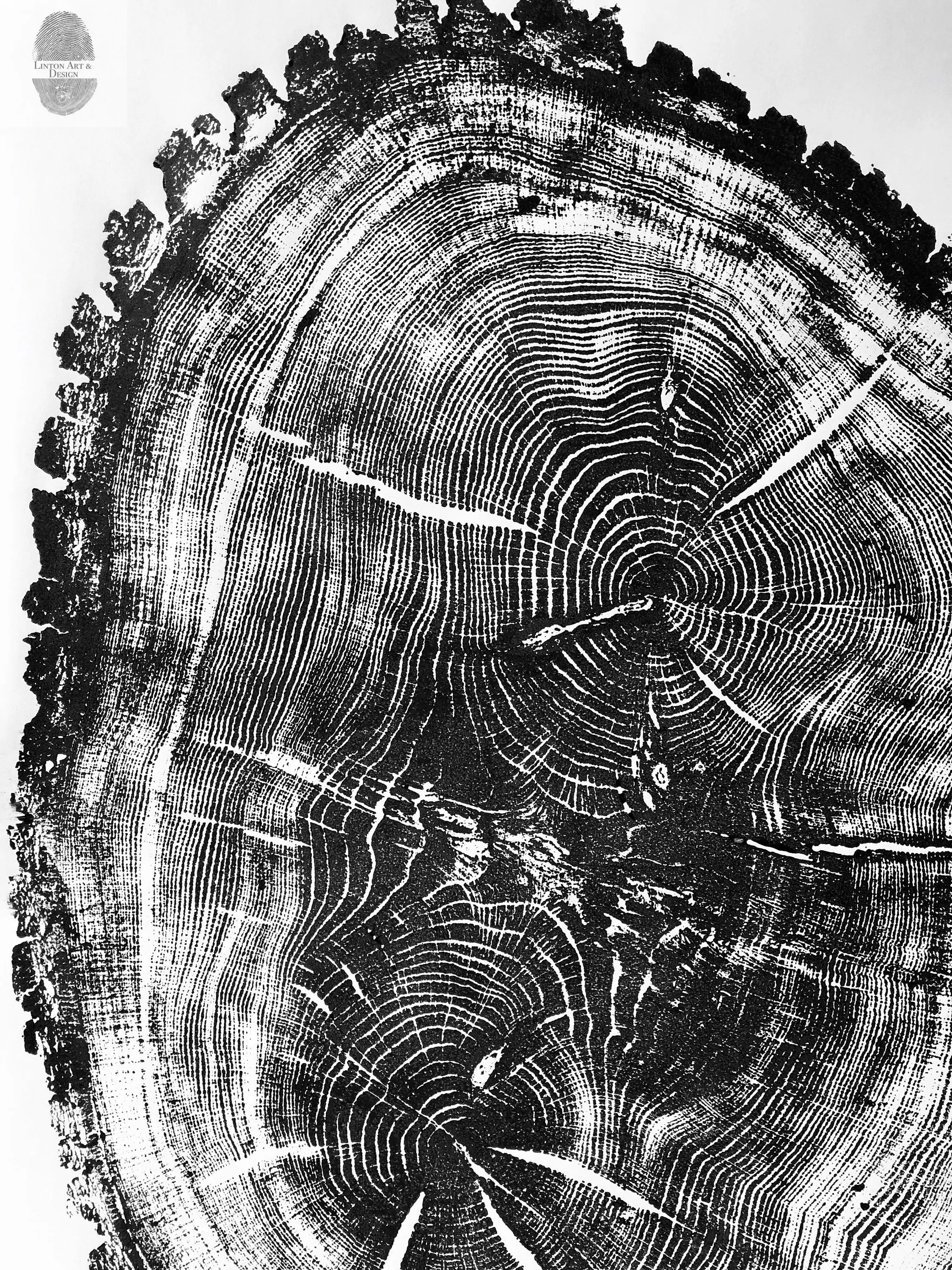 Nauvoo, Illinois Oak - 24x36 Print