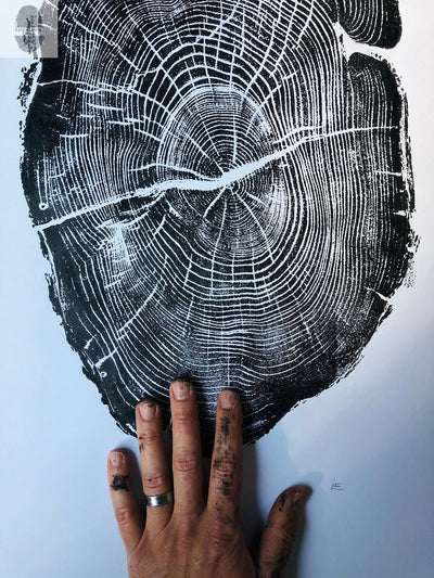 Nauvoo Illinois Osage Orange 18x24 print showing detailed tree ring patterns by lintonart