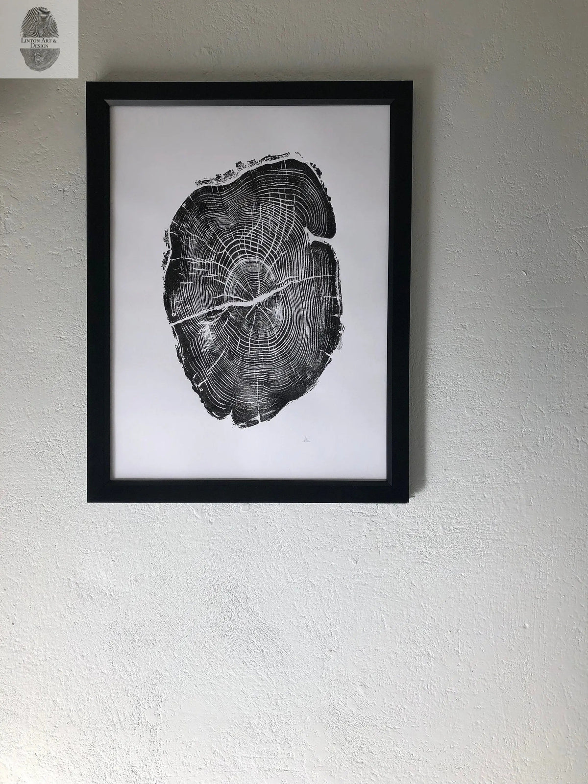 Black and white print of an Osage Orange tree cross-section with detailed growth rings, framed in black and hung on a textured white wall.