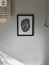 Black and white framed print of an Osage Orange tree cross-section showing growth rings, hanging on a white textured wall near a window with shutters and a hanging glass planter.