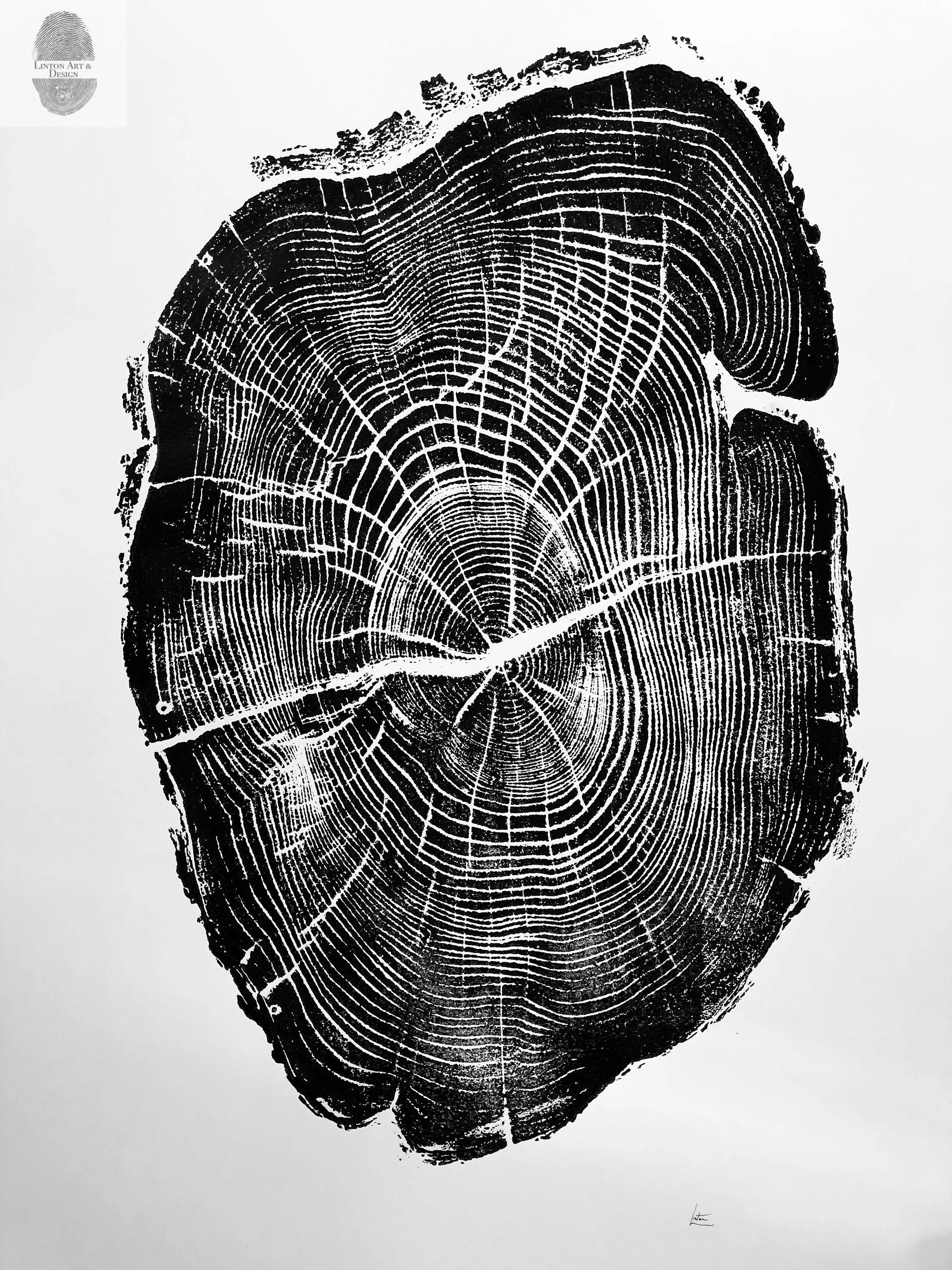 Nauvoo Illinois Osage Orange - 18x24 print