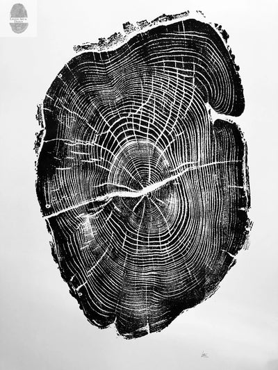 Nauvoo Illinois Osage Orange - 18x24 print