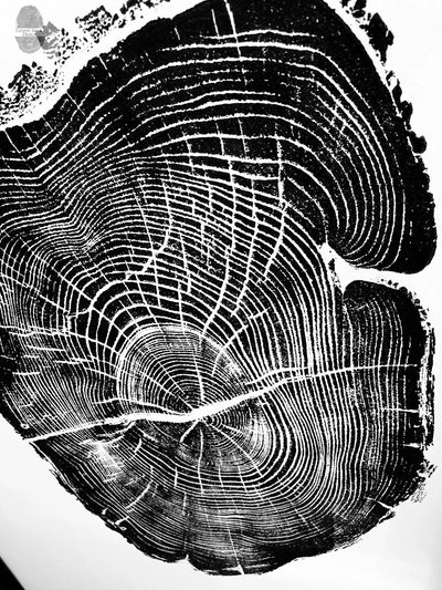 Nauvoo Illinois Osage Orange - 18x24 print