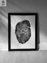 Black and white print of a cross-section of a tree trunk showing detailed growth rings and cracks, framed in simple black, resting against a textured wall on a wooden floor.