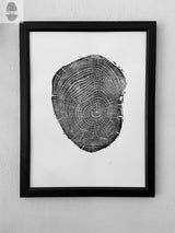 Black and white framed print of an ash tree cross section with detailed growth rings, displayed on a textured light-colored wall.