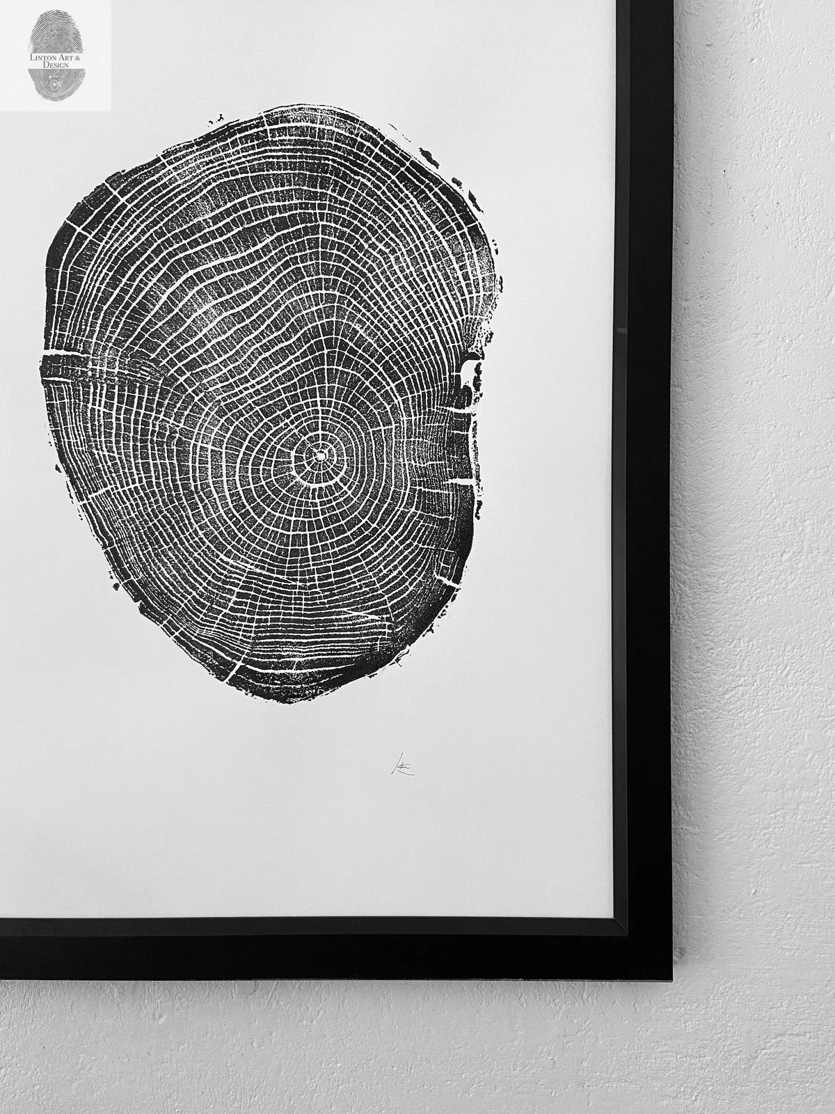 Black and white print showing detailed annual rings and bark of a cross section of an ash tree, framed and hung on a light-colored textured wall.