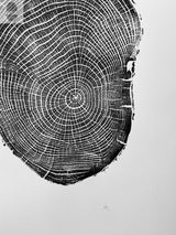 Black and white print of an ash tree cross-section with detailed growth rings and textured bark on a white background, signed below center.